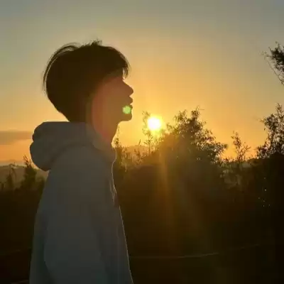 公凡梦